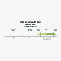 RIO Elite Smallmouth Bass Fly Line 7 RIO Elite Smallmouth Bass Fly Line -Orvis Shop FW Elite Smallmouth Bass fly line taper