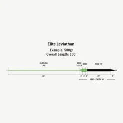 RIO ELITE LEVIATHAN 26FT SINK TIP FLY LINE -Orvis Shop SW Elite Leviathan fly line taper