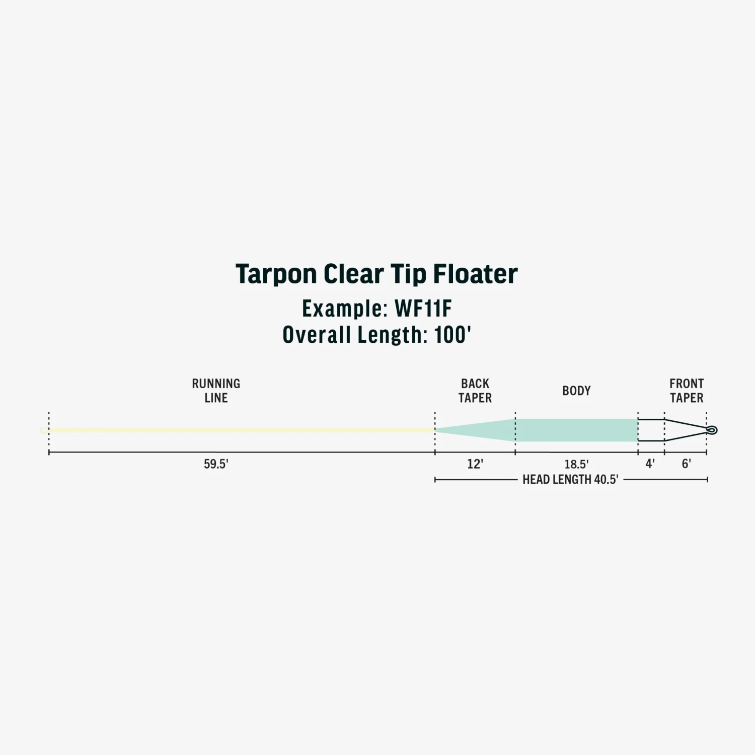 RIO PREMIER TARPON CLEAR TIP FLOATER 5 RIO PREMIER TARPON CLEAR TIP FLOATER - Image 3
