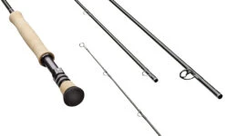 Sage R8 Fly Rod - 691-4 - 6wt 9ft FB 4 Pc -Orvis Shop Sage R8 CORE Group Fighting Butt 98f25c2c a465 4fc9 848d 8ec14fe36ebe